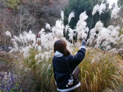 株式会社DiningXの長期インターン体験談_S.Mの画像