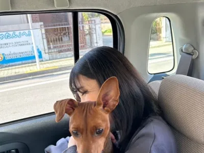 株式会社コネクトボックスの長期インターン体験談_Y.Kの画像