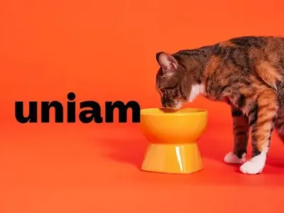 株式会社uniamの【ねこ好き大歓迎】実践から学ぶ！SNSマーケの長期インターン募集！の画像