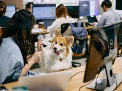株式会社バイオフィリアのワンちゃん向け「ココグルメ」のSNS広告マーケティングインターンの画像